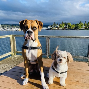 Team Page: PeytonRoxy Girl Power